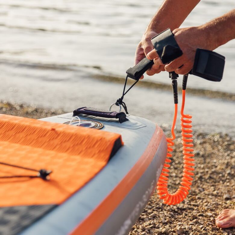 paddleboard SHARK Touring 12'6''x30''x5''