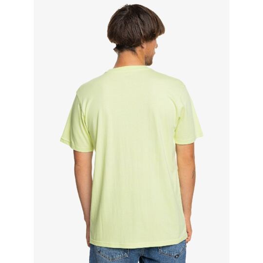 triko QUIKSILVER MW Logo LIGHT GREEN