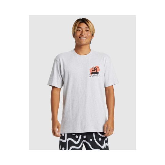 triko QUIKSILVER Quik Surfer LIGHT GREY