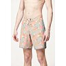 boardshort PICTURE Andy Heritage Print 17'' EDEN GARDEN