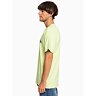 triko QUIKSILVER MW Logo LIGHT GREEN